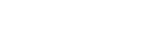 The Techtellectual Store